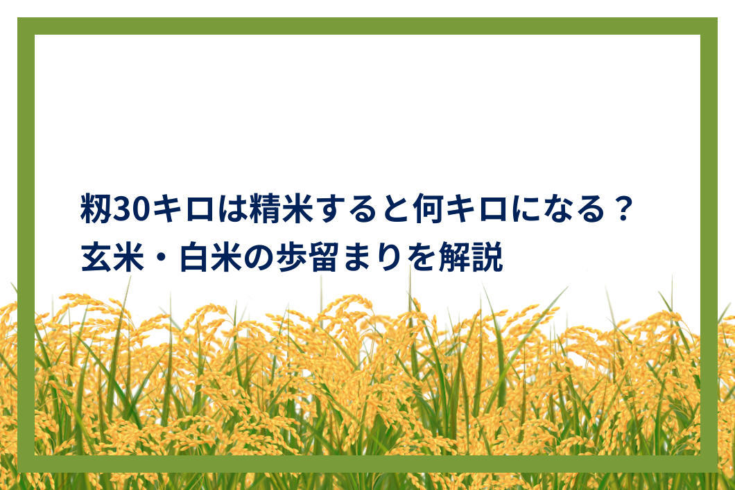籾30キロは精米すると何キロになる?玄米・白米の歩留まりを解説 | AgriSupport